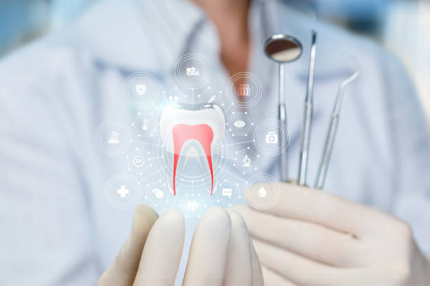 Professional  Holistic Dental Services in Golden Glades, FL